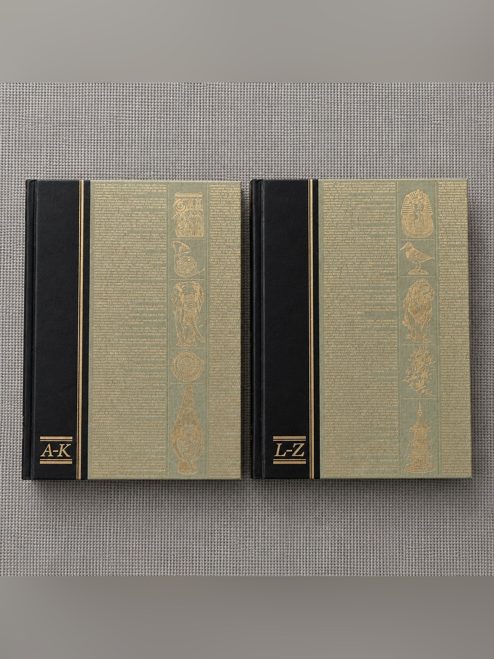 Readers Digest Illustrated Encyclopedic Dictionary 2 Volume Set A-K & L-Z Decor